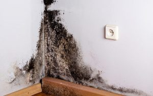 Quelles sont les causes de l’humidité dans une habitation ?
