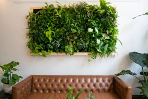 Comment créer un mur végétal ?